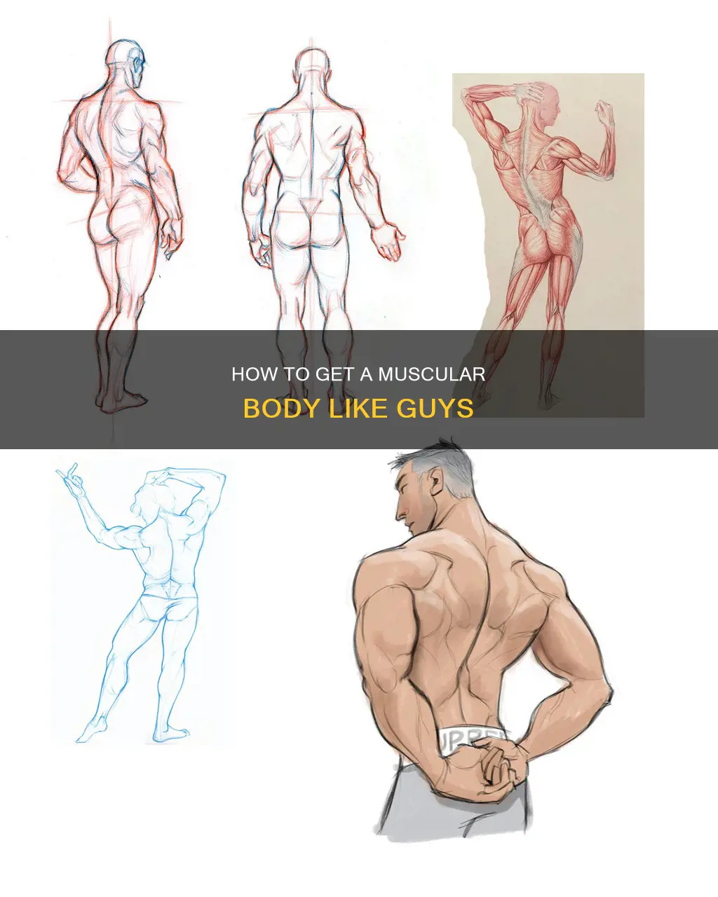 what muscle do guys only