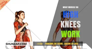 High Knees Workout: Targeting Core, Leg, and Cardiovascular Muscles