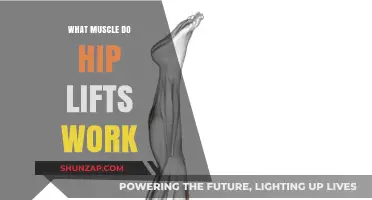 Hip Lifts: Targeting Glutes, Core, and Lower Body Muscles Effectively