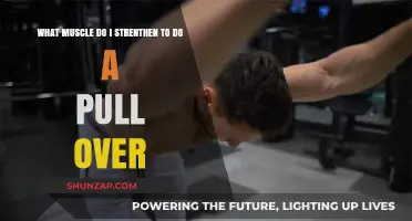 Master the Pull-Over: Key Muscles to Strengthen for Perfect Form