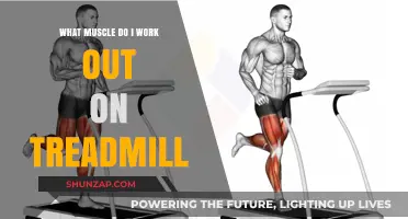 Treadmill Workouts: Targeting Key Muscles for Optimal Fitness Results
