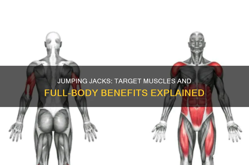 what muscle do jumping jacks work