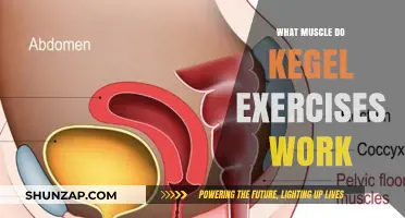 Kegel Exercises: Strengthening Pelvic Floor Muscles for Better Health