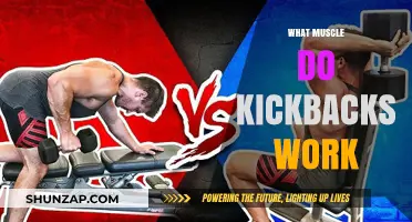 Kickbacks Target: Unlocking Triceps Strength and Definition in Your Arms