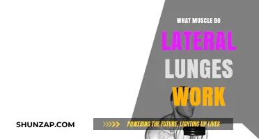 Lateral Lunges: Targeting Glutes, Quads, and Inner Thigh Muscles Effectively