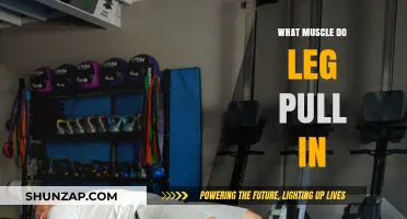 What Muscles Do Leg Pull-Ins Target? A Comprehensive Guide