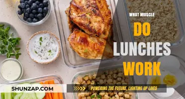 Lunches and Muscles: Unlocking the Surprising Benefits of Midday Meals