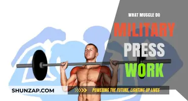 Military Press Muscles: Targeted Strength Training for Shoulders and Upper Body