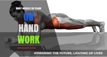 Plank on Hands: Target Muscles and Core Strength Benefits