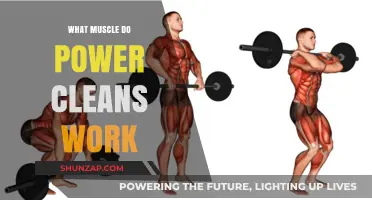 Power Cleans: Target Muscles and Full-Body Strength Benefits Explained