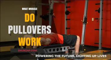 What Muscle Do Pullovers Work? Unlocking Upper Body Strength Gains
