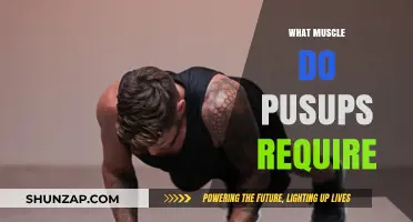 Pushups: The Ultimate Upper-Body Muscle Builder