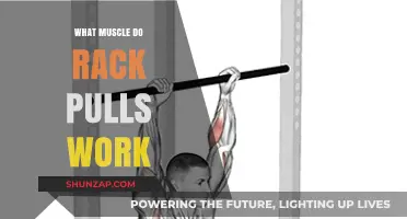Rack Pulls: Targeting Key Muscles for Strength and Power