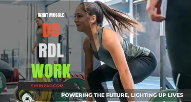 What Muscles Do RDLs Work? Unlocking Strength and Stability Benefits