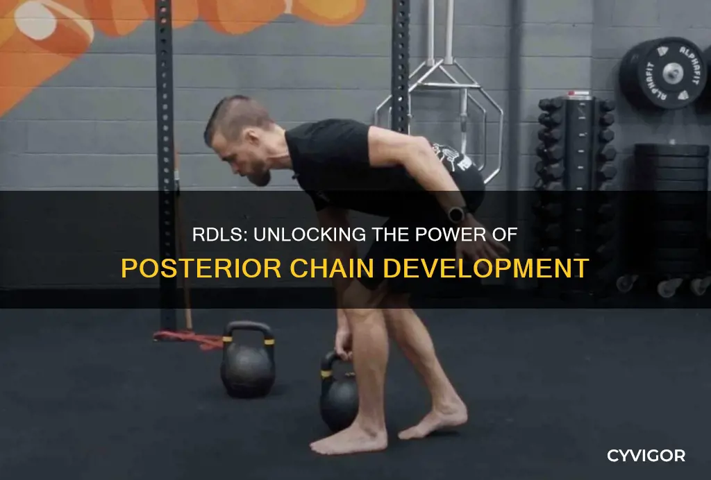 what muscle do rdl