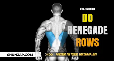 Renegade Rows: The Ultimate Full-Body Workout