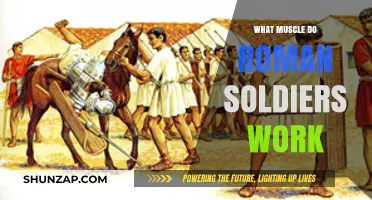 Roman Soldiers' Training: Target Muscles for Battle-Ready Strength