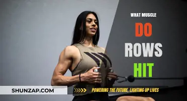 Targeted Training: Rows for Back and Shoulder Muscles