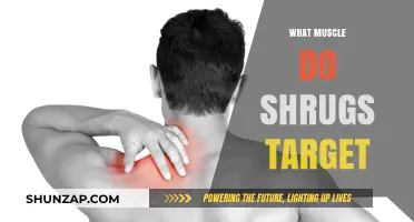 The Ultimate Guide to Shrug Exercises