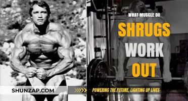 Shrugs: Targeting Traps and Upper Back Muscles for Strength