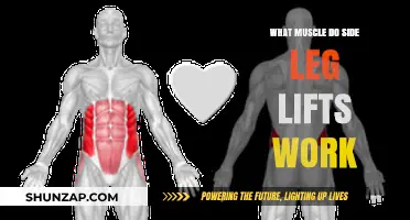 Side Leg Lifts: Targeting Muscles for Stronger, Toned Outer Thighs