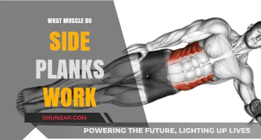 Side Planks: Targeting Core, Obliques, and Shoulder Muscles Effectively