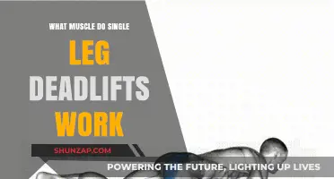 Single Leg Deadlifts: Target Muscles and Benefits Explained