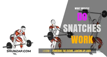 Snatch Workout Muscles: Unlocking Full-Body Strength and Power