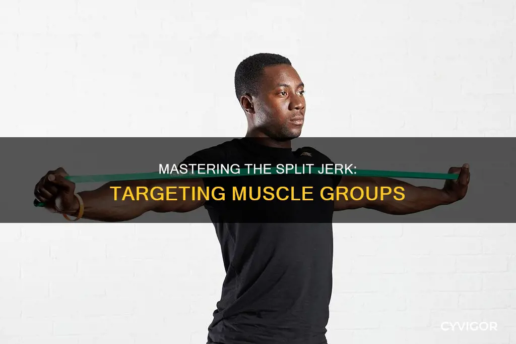 what muscle do split jerk