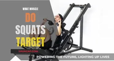 Squats: Targeting the Right Muscles for Strength and Power