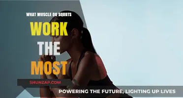 Squats: Unlocking the Primary Muscle Group for Maximum Strength Gains