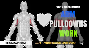 Straight Arm Pulldowns: Targeted Muscles and Workout Benefits Explained