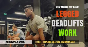 Straight Leg Deadlifts: Target Muscles and Benefits Explained