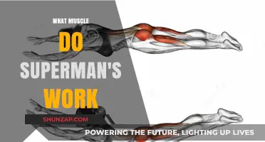 Superman's Workout: Targeting Muscles for Superhuman Strength and Posture