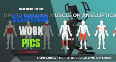 Elliptical Workouts: Target Muscles and Effective Training Pics Guide