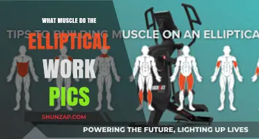Elliptical Workouts: Target Muscles and Effective Training Pics