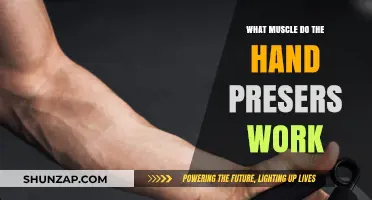 Hand Grippers Target Forearms, Wrist Flexors, and Finger Muscles for Strength