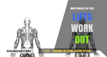 Toe Lifts: Targeted Muscles and Benefits for Foot Strength