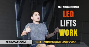 Tower Leg Lifts: Targeting Core, Glutes, and Lower Body Muscles