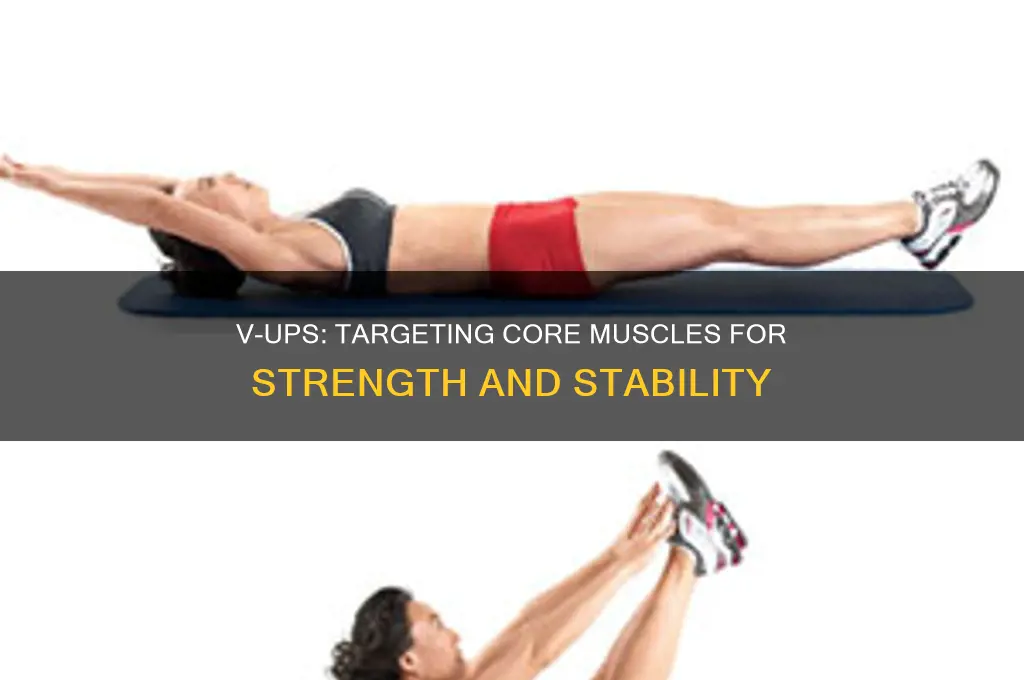 what muscle do v ups work