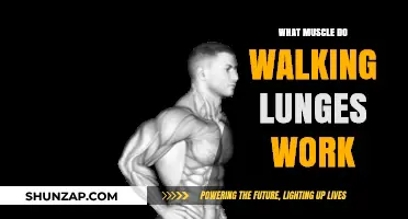 Walking Lunges: Target Muscles and Benefits for Lower Body Strength