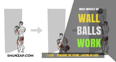 Wall Balls Workout: Targeting Muscles for Full-Body Strength and Endurance