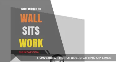 Wall Sits: Targeting Quads, Glutes, and Core Muscles Effectively