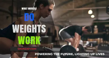 Weights and Muscles: Understanding Which Muscles Benefit from Weight Training