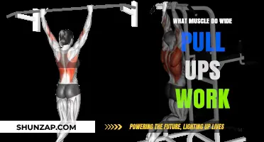 Wide Pull-Ups: Targeted Muscles and Benefits for Upper Body Strength