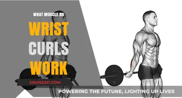 Wrist Curls: Targeting Forearm Muscles for Strength and Definition