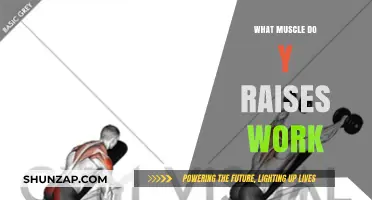 Y Raises: Targeting Upper Back and Shoulder Muscles Effectively