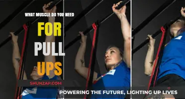 Mastering Pull-Ups: Key Muscles to Strengthen for Success