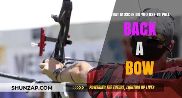Mastering the Draw: Key Muscles Used to Pull Back a Bow