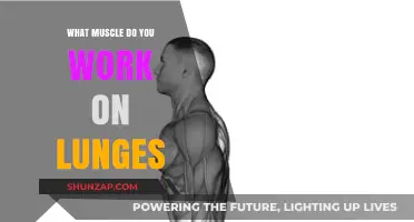 Lunges: Targeting Key Muscles for Strength and Stability